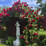 Бетонна Скульптура Дівчина з Глечиками для саду - Зображення 2