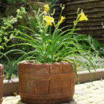 Вулична Бетонна Квіткарка кашпо Дерево - Зображення 2