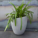 Вуличний Бетонний Вазон Мілано М - Зображення 3