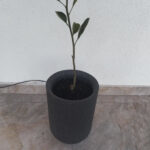 Вуличний Бетонний Вазон Ессен XS - Зображення 3