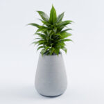 Вуличний Бетонний Вазон Неаполь M