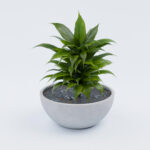 Вуличний Бетонний Вазон Вена XM