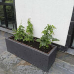 Вуличний Бетонний Вазон Лісабон 2XL - Зображення 6