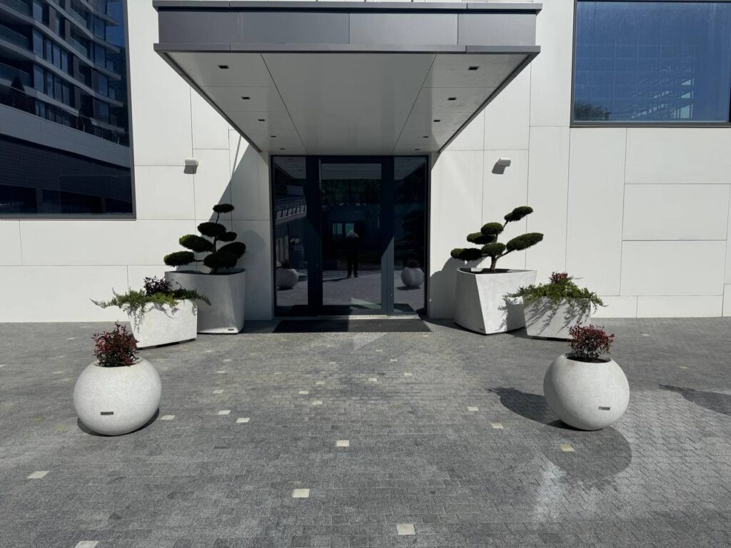 photo_2026-02-05_10-54-41 (2)