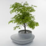 Паркова Бетонна Лава Аліканте