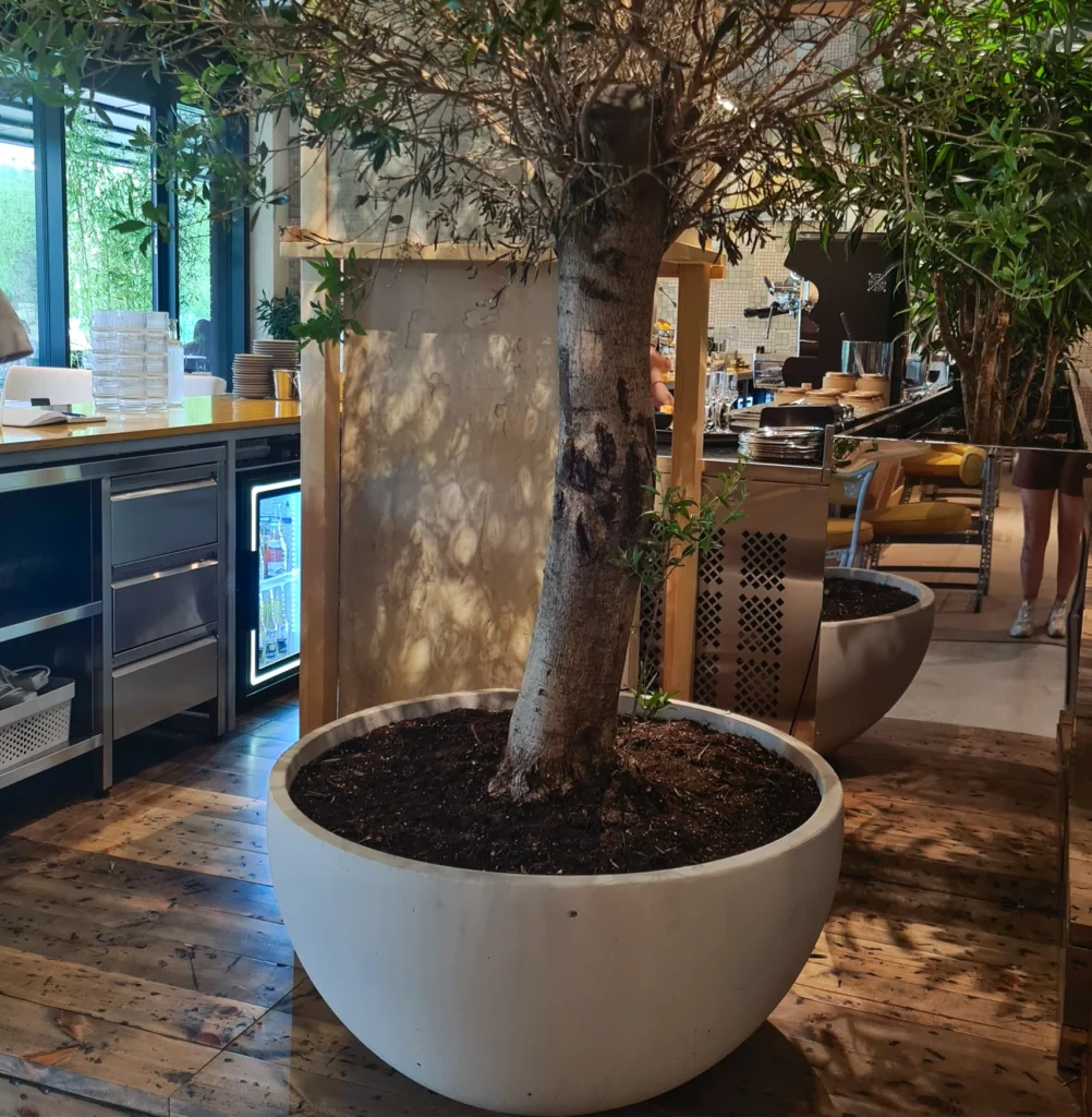 essen-kafe-rockside-123